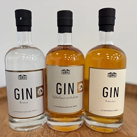 Gin